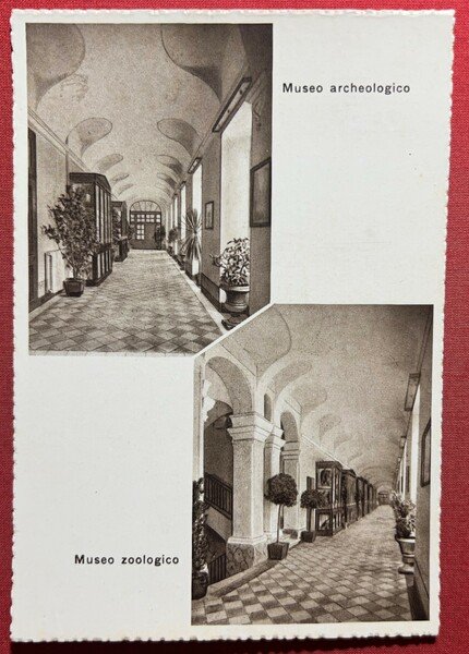 Cartolina - Real Collegio Carlo Alberto - Moncalieri - Museo …