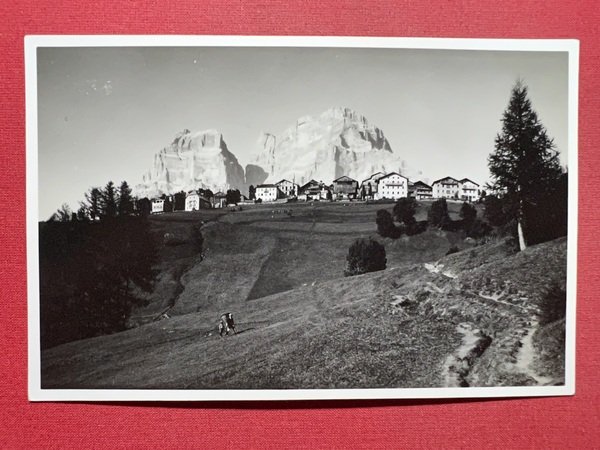 Cartolina - Panorama di Coi e Monte Pelmo ( Zoldo …