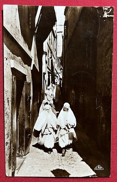 Cartolina Coloniale - Alger - Rue du Palmier - 1931