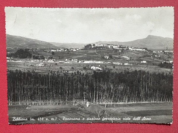 Cartolina - Bibbiena - Panorama e Stazione Ferroviaria viste dall'Arno …