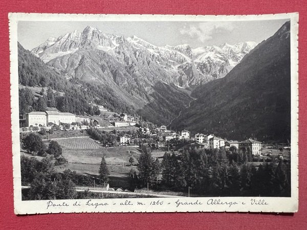 Cartolina - Ponte di Legno ( Brescia ) - Grande …