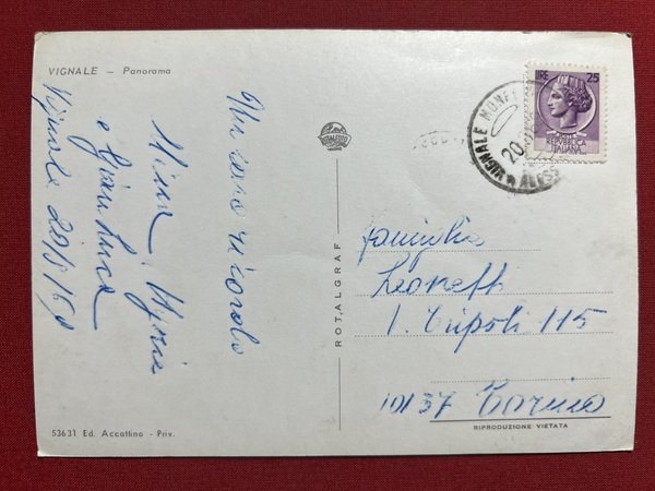 Cartolina - Vignale ( Alessandria ) - Panorama - 1969