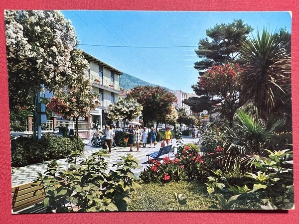 Cartolina - Spotorno ( Savona ) - Passeggiata e Giardini …