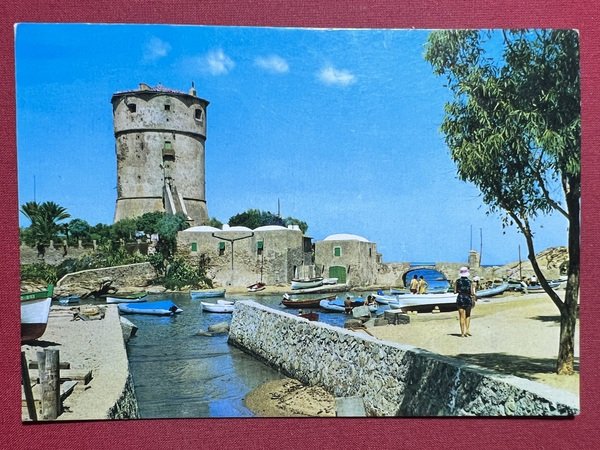 Cartolina - Isola del Giglio ( Grosseto ) - Campese …
