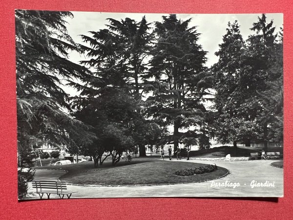 Cartolina - Parabiago ( Milano ) - Giardini - 1950 …