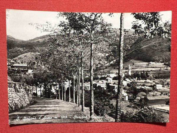 Cartolina - S. Stefano d'Aveto - Stazione Climatica - 1962