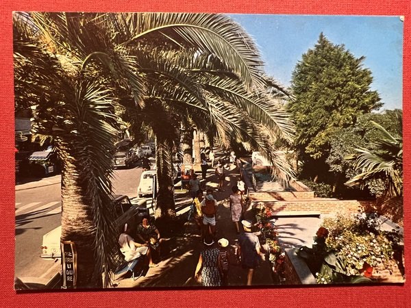 Cartolina - Pietra Ligure - Riviera delle Palme - Passeggiata …