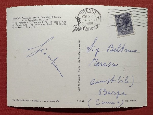 Cartolina - Trento - Panorama con le Dolomiti di Brenta …