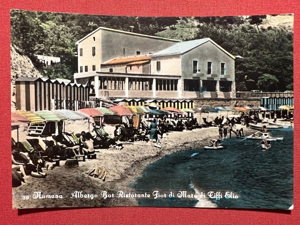 Cartolina - Numana - Albergo Bar Ristorante Fior di Marte … | Immagine principale