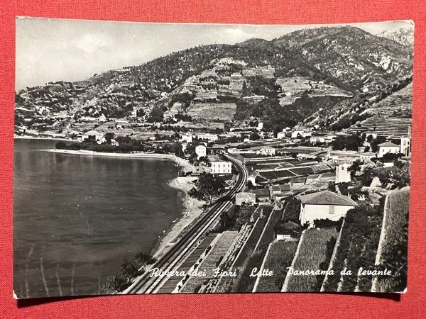 Cartolina - Riviera dei Fiori - Latte - Panorama da …
