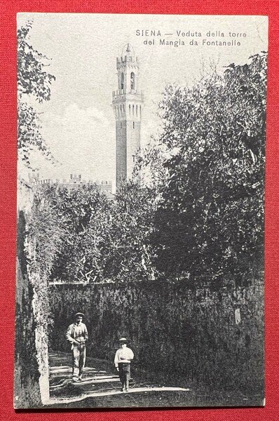 Cartolina - Siena - Veduta della Torre del Mangia da …