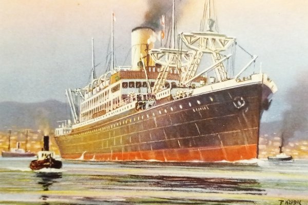 Cartolina Navi - Lloyd Triestino - Piroscafo Rosandra - 1960 …