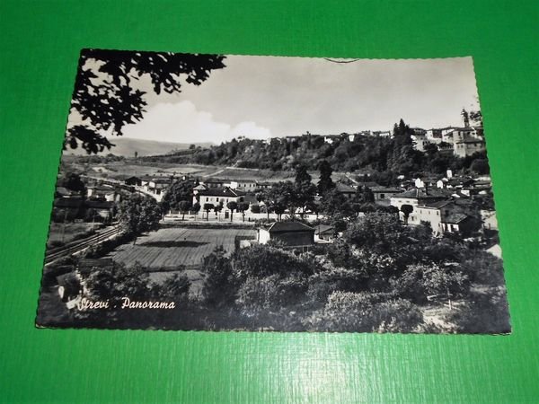 Cartolina Strevi - Panorama 1956.