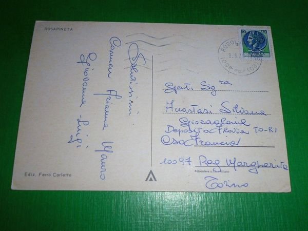 Cartolina Saluti da Rosapineta ( Rovigo ) - Vedute diverse …