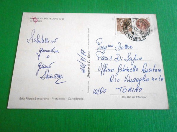 Cartolina Marina di Belvedere ( Cosenza ) - La spiaggia …