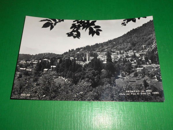 Cartolina Premeno - Vista dal Pian di Sole 1955 ca