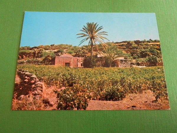 Cartolina Pantelleria - Bugeber - Dammuso 1975 ca