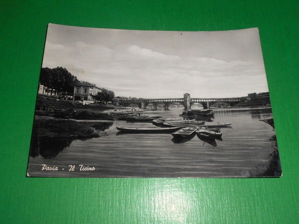 Cartolina Pavia - Il Ticino 1950 ca