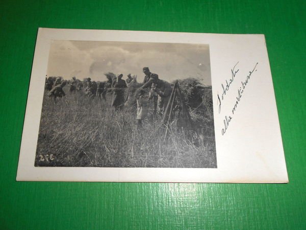 Cartolina Dintorni di Gorizia - Soldati alla mietitura 1920 ca