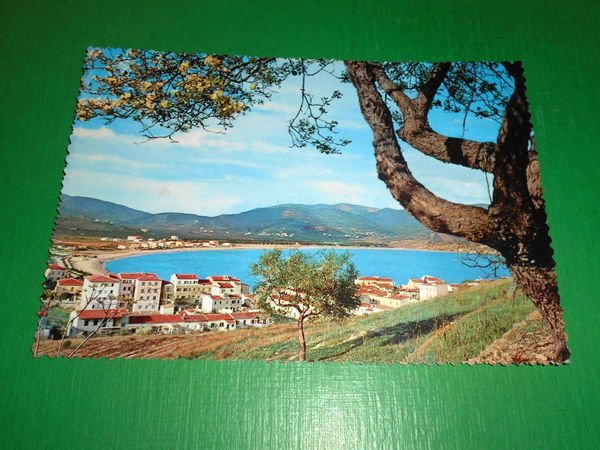 Cartolina Isola d' Elba - Marina di Campo - Panorama …
