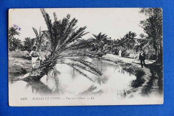 Cartolina Africa - Vue vers l'Oued