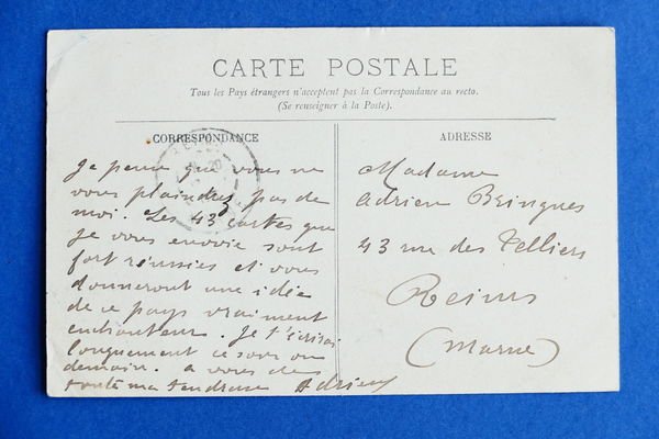 Cartolina Africa - Alger - Allèe du Square Bresson