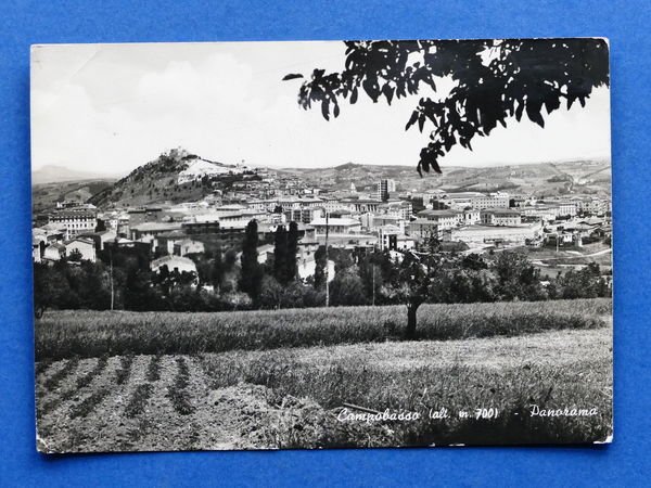 Cartolina Campobasso - Panorama - 1961.