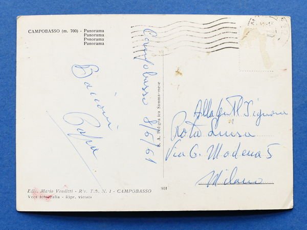 Cartolina Campobasso - Panorama - 1961.