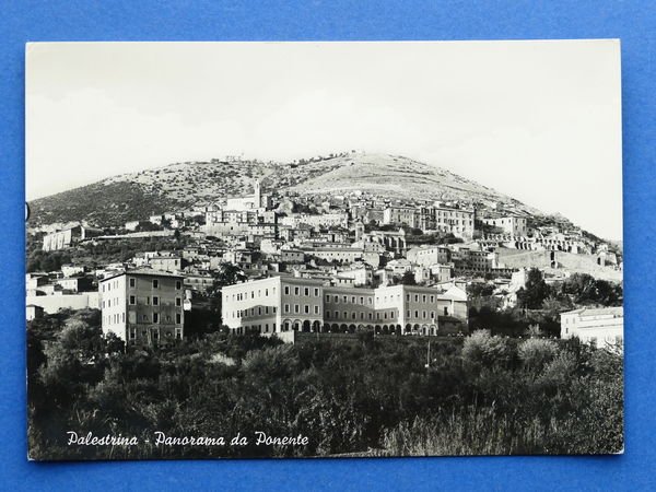 Cartolina Palestrina - Panorama da Ponente - 1956.