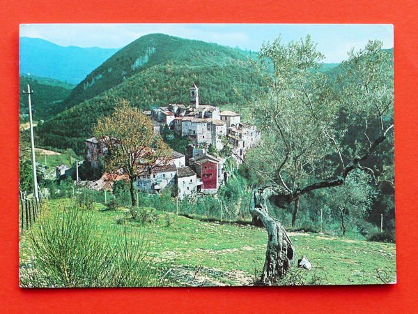 Cartolina Rocchette di Torri in Sabina - Panorama - 1980
