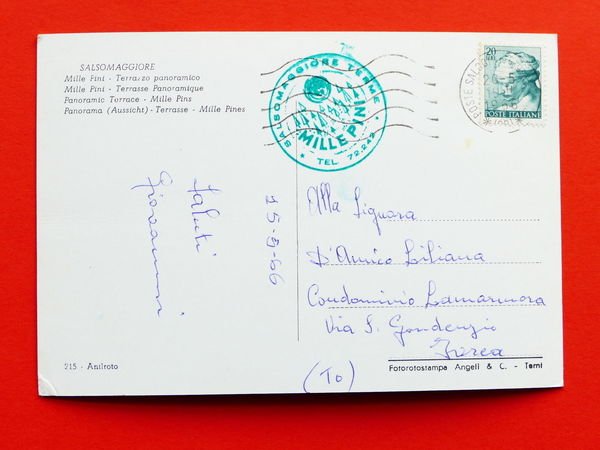 Cartolina Salsomaggiore - Mille Pini - Terrazzo Panoramico - 1966