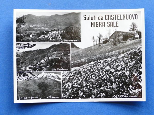Cartolina Castelnuovo Nigra Sale - 1960 ca.