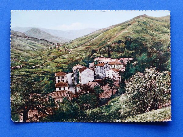 Cartolina Marzano di Torriglia - Panorama - 1963.