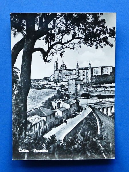 Cartolina Urbino - Panorama - 1960.