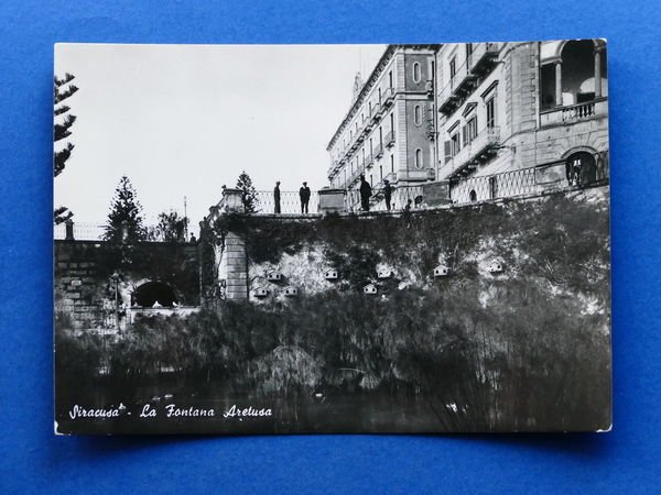 Cartolina Siracusa - La Fontana Aretusa - 1960 ca.
