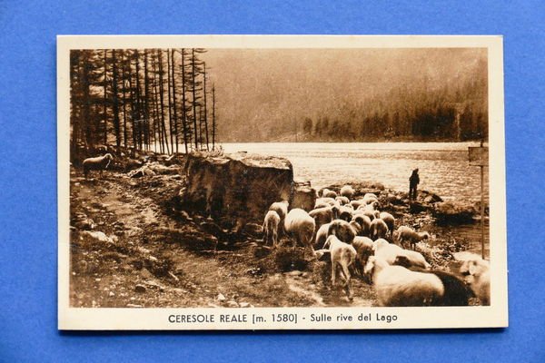 Cartolina Ceresole Reale - Sulle rive del lago - 1930 … | Immagine principale