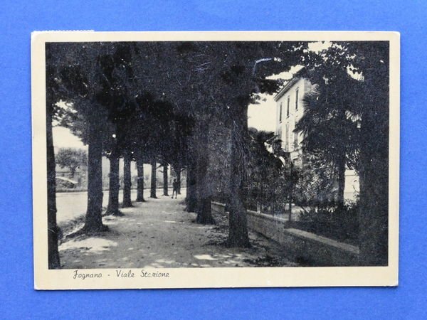 Cartolina Fognano - Viale Stazione - 1952