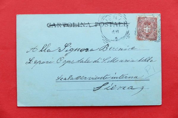 Cartolina Pisa - Panorama - 1901 ca.