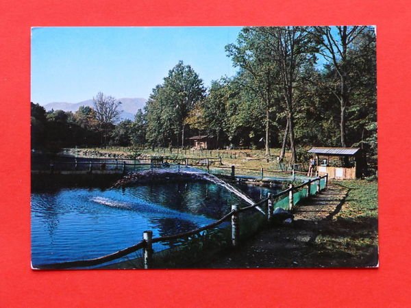 Cartolina S. Martino sopra Intra Laghetto La Betulla - 1970 …