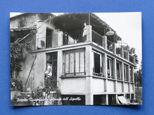 Cartolina Foresto - Bussoleno - Albergo dell'Agnello - 1955 ca.