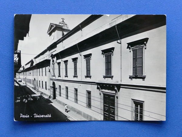 Cartolina Pavia - Università - 1950 ca.