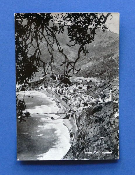 Cartolina Moneglia - Panorama - 1953