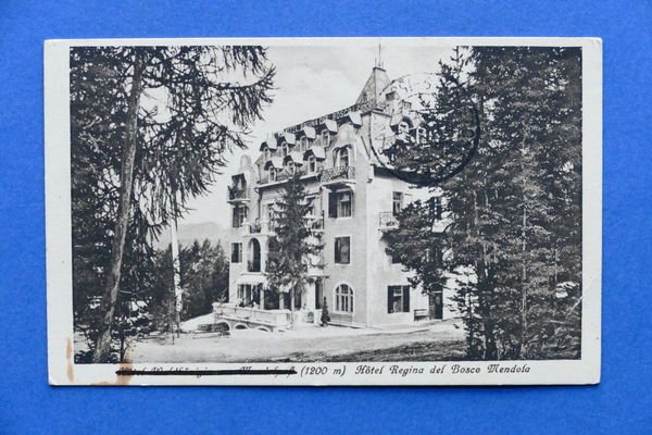 Cartolina Fondo - Hotel Regina del Bosco Mendola - 1925