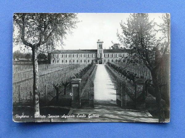 Cartolina Voghera - Istituto Tecnico Agrario Carlo Gallini - 1952
