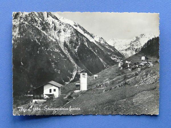 Cartolina Pejo - Stazione arrivo funivia - 1955