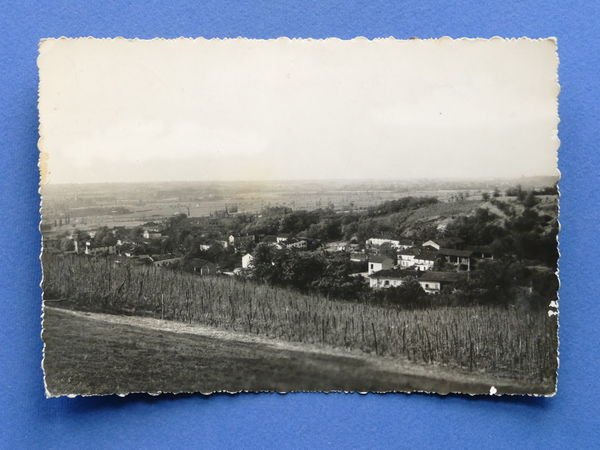 Cartolina Bruno - Scorcio Panoramico - 1959