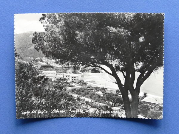 Cartolina Isola del Giglio - Albergo Campese sulla spiaggia omonima …