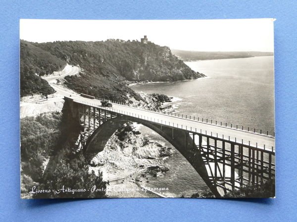 Cartolina Antignano - Ponte di Calignaia e panorama - 1955 …