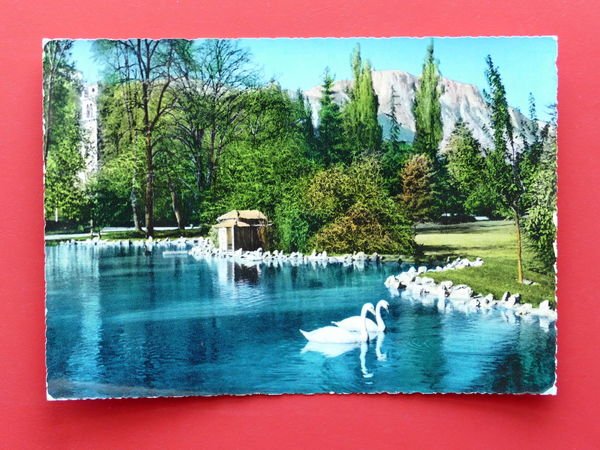 Cartolina Trento - Giardini di Piazza Dante - Laghetto dei …