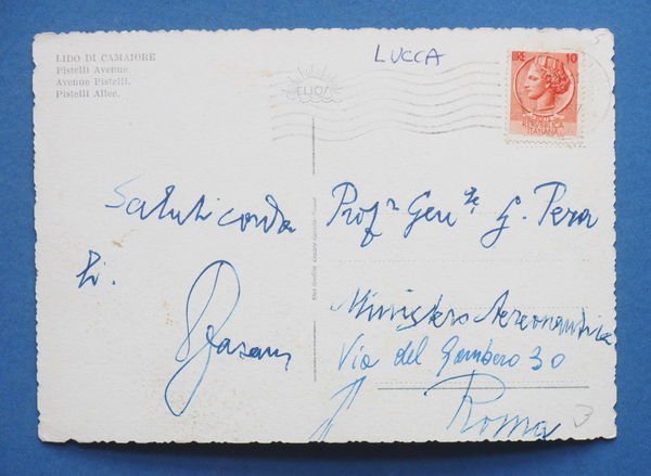 Cartolina Lido di Camaiore - Viale Pistelli - 1957